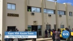 Kayes Panguru Jigi Kéné