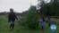 Christmas Tree Farmers Urge Americans to Buy Real Trees