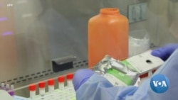 ‘Changed’ World Lies Ahead After Virus, Experts Say