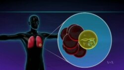 Gene Tests May Improve Lung Cancer Care