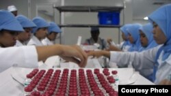 FILE - Lab workers in the Bandung Bio Farma facility in Indonesia examine vials that have vaccine vial monitor technology incorporated into their labels, in Bandung, Indonesia, February 2017. (U. Kartoglu/PATH)