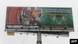 Biển quảng cáo lớn bằng tiếng Việt và tiếng Anh trên đường từ Sân bay Quốc tế Nội Bài về Hà Nội, với cảnh báo: "Buôn lậu động vật hoang dã sẽ bị xử lý theo pháp luật"