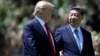 Trump, Xi Converge on Currency, Syria as US-China Ties Warm