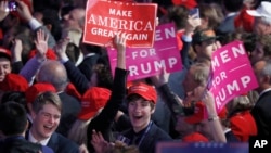 Supporters cheer as they wait for President-elect Donald Trump to give his acceptance speech during his election night rally, Nov. 9, 2016, in New York. 