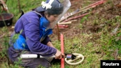 FILE - A woman practices searching for land mines during a training session involving mock land mines in El Retiro, Antioquia in Colombia, Jan. 23, 2013.
