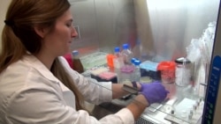 Quantum Dot Antibiotics Adapt as Fast as Superbugs