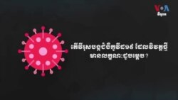 ក្រាហ្វិក​ពន្យល់៖ ជំងឺ​កូវីដ១៩ វិវត្ត​ថ្មី​មាន​លក្ខណៈ​ខុស​ប្លែក​ពី​មុន
