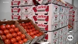 Trump defends need for tariffs on imports from Canada, China, Mexico