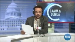 Caawa iyo Dunida