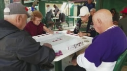 Landmark: Domino Park di Miami