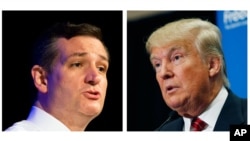 Donald Trump (derecha) y Ted Cruz están empatados en las encuestas para las asambleas partidarias de Iowa.