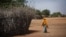 FILE - In this Dec. 19, 2017 photo, a Somali girl walks near a fence surrounding a hut at Dadaab refugee camp.