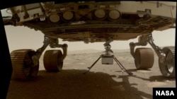 NASA's Ingenuity helicopter can be seen here with all four of its legs deployed before dropping from the belly of the Perseverance rover on March 30, 2021, the 39th Martian day, or sol, of the mission. (Credit: NASA/JPL-Caltech/MSSS)