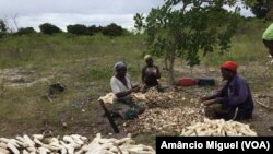 Imagem de arquivo: Mulheres de Palma, Cabo Delgado, Moçambique