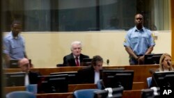 Radovan Karadžić u sudnici Haškog tribunala (Foto: AP/Peter Dejong) 