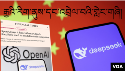 ཌིབ་ཟིག་རིག་ནུས། 