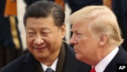 Archivo - El presidente de Estados Unidos, Donald Trump, y el de China, Xi Jinping, durante una ceremonia de recepción en el Gran Salón del Pueblo en Beijing, China, el 9 de noviembre de 2017.