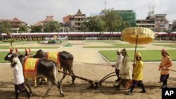 ស្ដេច​នាគ​ក្នុង​ព្រះរាជ​ពិធីច្រត់ព្រះនង្គ័ល​ឆ្នាំ​នេះ ​តំណាង​ដោយ​ព្រះអង្គ​ម្ចាស់ ​នរោត្តម ​ចក្រាវុឌ្ឍ ​(ទីបីពី​ខាងស្តាំ)