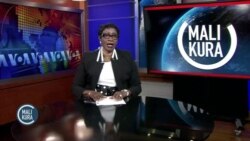 A bɛ tile damadɔ bɔ Bamakɔ, sogo sɔngɔ wulilen in sɔsɔra feere kɛlaw fɛ. 