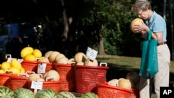 FILE - A shopper inspects fresh-picked melons and other summer garden vegetables are displayed for sale at a farmers market in Falls Church, Va., Aug. 8, 2015.