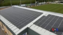 Зелені, тому що еко: Як футбольний клуб у Великобританії вболіває за планету Земля. Відео