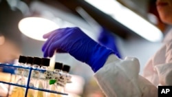 FILE - A microbiologist works with tubes of bacteria samples in an antimicrobial resistance and characterization lab within the Infectious Disease Laboratory at the Centers for Disease Control and Prevention in Atlanta.