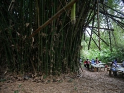Involving the local community is key to creating a sustainable forest, Wellington Baiden says, Oct. 3, 2020. (Stacey Knott/VOA)