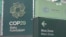 Младински активист од Северна Македонија на КОП29 во Баку, Азербејџан