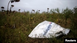 A piece of wreckage of the downed Malaysia Airlines flight MH17 is pictured near the village of Hrabove (Grabovo) in Donetsk region, eastern Ukraine, Sept. 9, 2014.