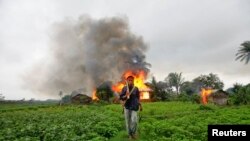 د برما د پوځ د عملیاتو له کبله څه باندې ۷ سوه زره روهینګیایي مسلمانان بنګله دیش ته کډه شوي. 