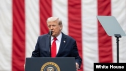 دونالد ترامپ - آرشیو