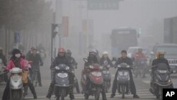 Chinese motorists ride their electric bikes in heavy fog down a street in Hefei, east China's Anhui province, 25 Nov 2009