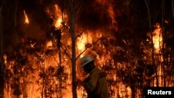 Kebakaran hutan di Medowie, Australia, pada tahun 2016.
