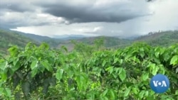 Guatemalan Poverty, Violence Top Concerns Ahead of Possible Asylum Pact with US