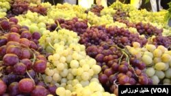 در تاکستان های ولایت هرات ۵۰ نوع انگور پرورش داده می شود