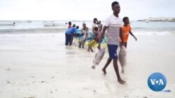 Somali Fishermen Decry Licensing Chinese Vessels