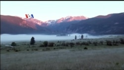 Pemerintah Trump Rencana Pangkas Anggaran Taman Nasional