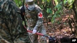Un soldado retira el cuerpo de un mono aullador que murió en medio de temperaturas extremadamente altas, el 21 de mayo de 2024, en Tecolutilla, México.