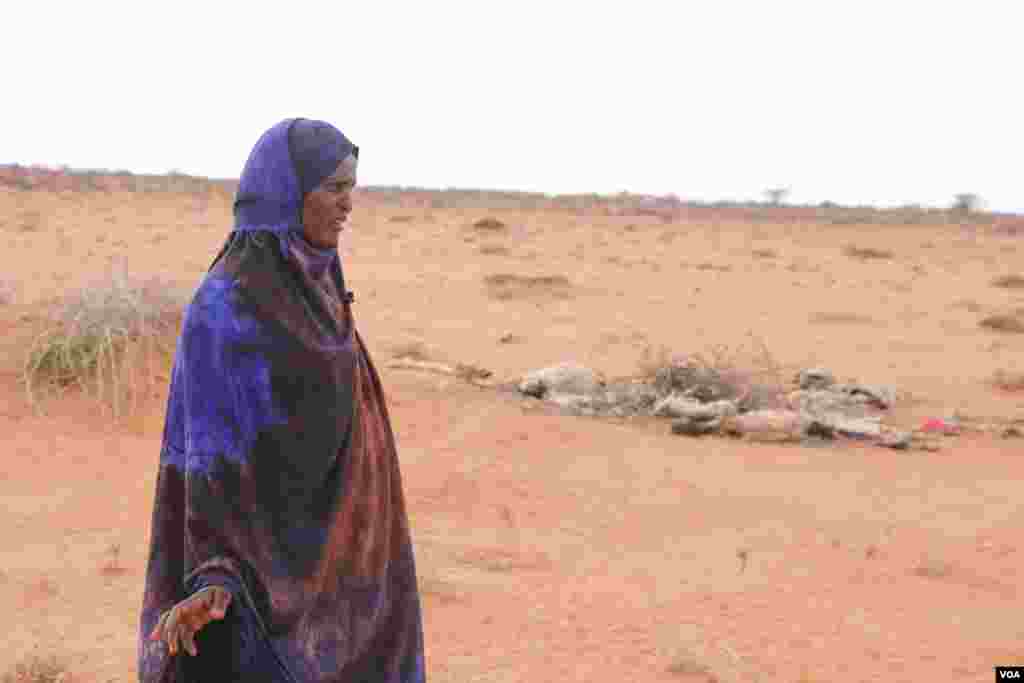 Haweenay agtaagan bakhtiga xoolo uga dhintay abaaraha