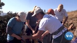 South African Women's Team Trains for Mount Everest Attempt