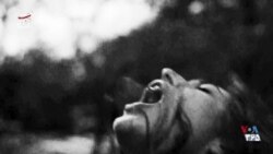 اکران - مستند «سه تار ساز» و فیلم‌های کوتاه «سرزمین قهرمانان»، «کفش‌های من» و «قربانی»