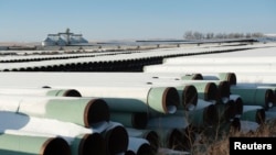Pipa-pipa milik TransCanada Corp. untuk membangun jaringan pipa minyak Keystone XL terlihat di Gascoyne, North Dakota.