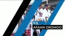 Tamsaasa Guyaadhaa Guyyaa