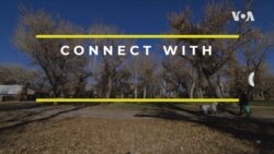 Connect With: Olivia Dillon