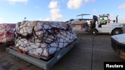 Workers load humanitarian aid from United Nations onto a plane for Syrian families, in Arbil airport, about 220 miles north of Baghdad, Dec. 15, 2013.