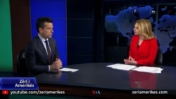 Shehaj: Nuk bëjmë koalicion, dallojmë në qasjen ndaj sistemit të drejtësisë 