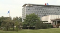 OMS: Alerta del impacto del virus de Zika en fetos