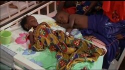 Gains Being Made Against Malaria