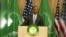 Obama: Africa's Progress Depends on Development, Democracy