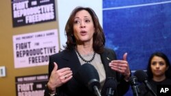 ARCHIVO - La vicepresidenta Kamala Harris habla en unas instalaciones de la organización Planned Parenthood, el 14 de marzo de 2024, en St. Paul, Minnesota. 